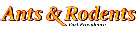 East Providence Ant Exterminator & Rodent Control Company Logo